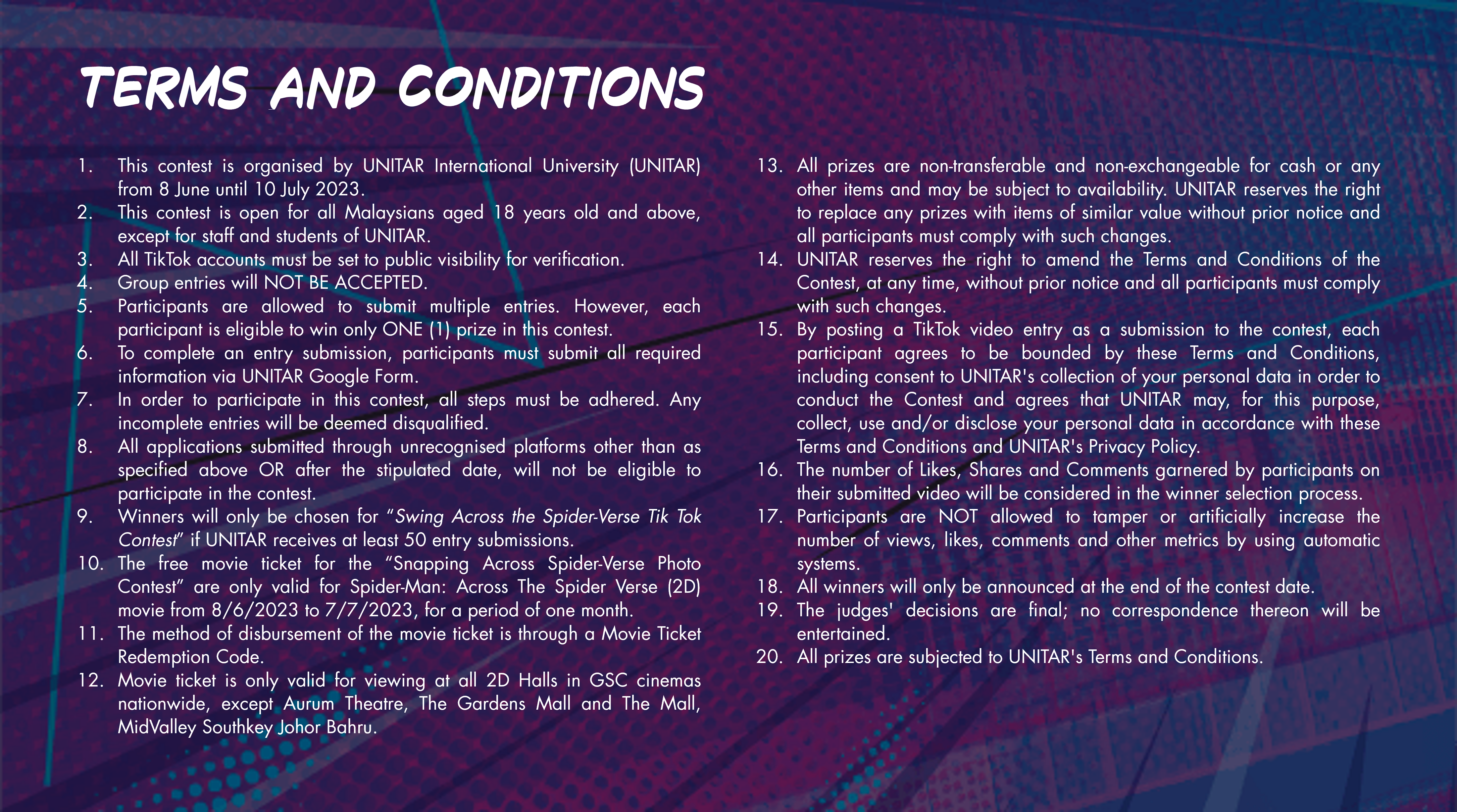 SV Terms and Conditions V2
