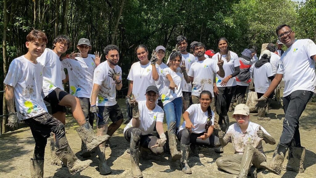 mangrove planting 01