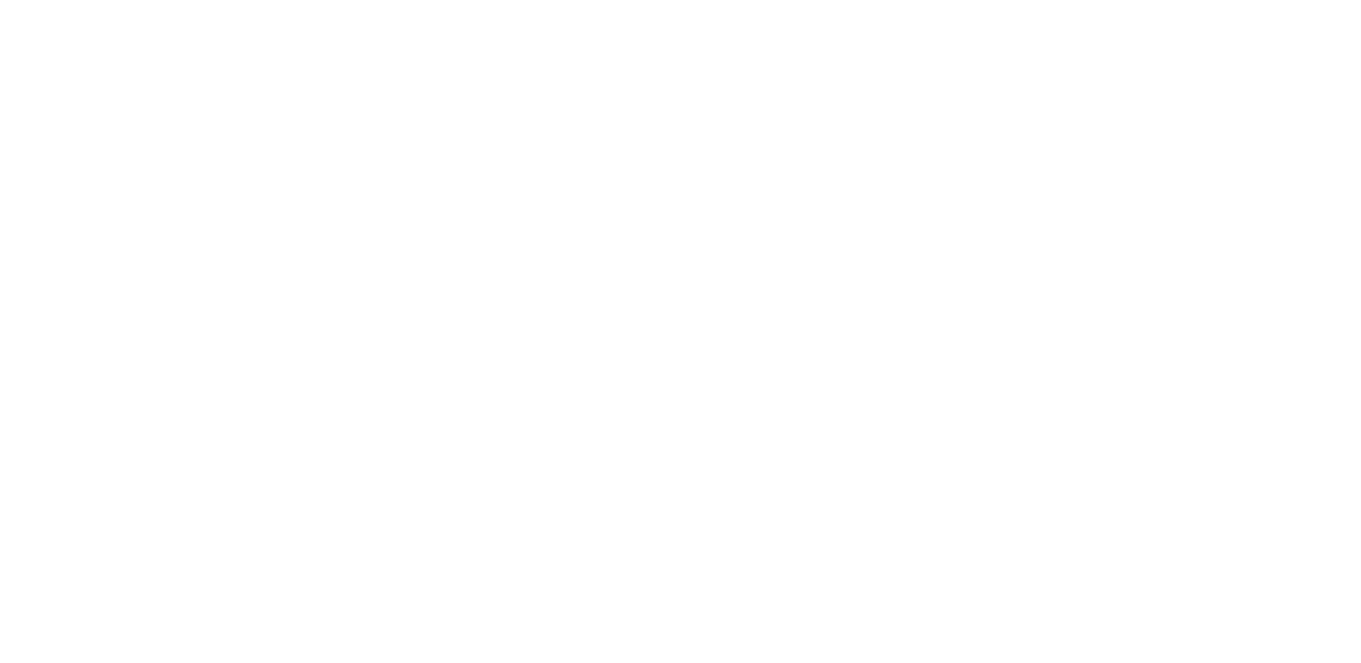 raaga logo white